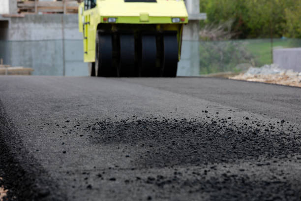 Best Decorative Driveway Pavers  in Chapel Hill, TN