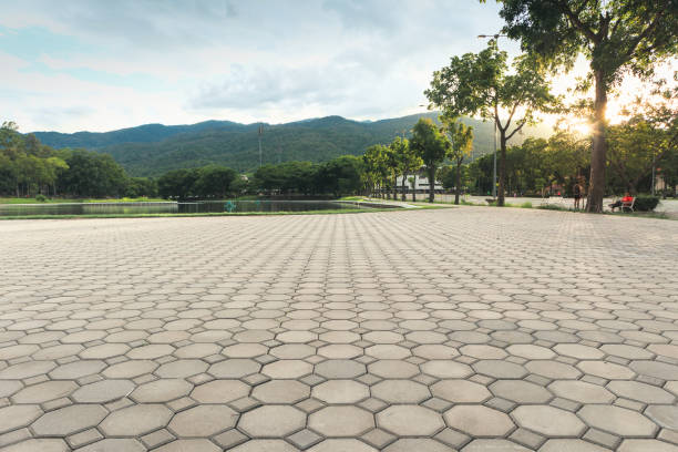 Best Residential Driveway Paver Services  in Chapel Hill, TN
