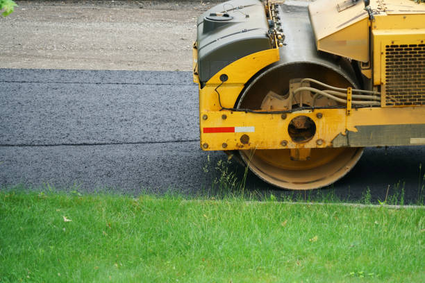 Best Driveway Pavers Near Me  in Chapel Hill, TN